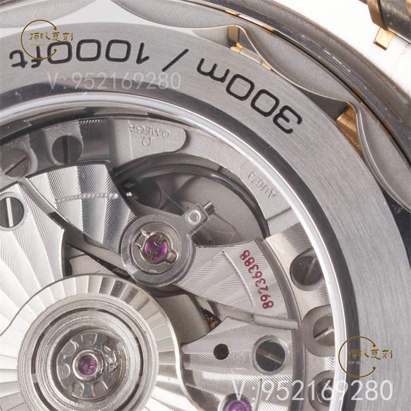 VS廠(SBF廠)黑海馬300機(jī)芯還會(huì)一眼假嗎,VS廠8800機(jī)芯還原正品避震器-復(fù)刻表